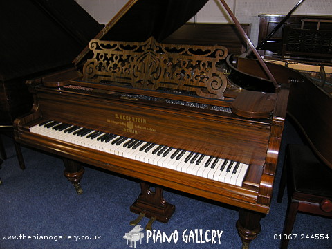 Model B Bechstein 6'5